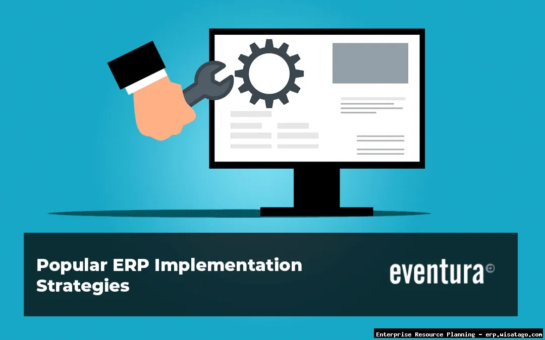 Cloud-Based ERP Implementation Strategies.