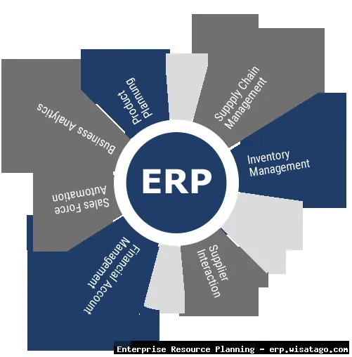 Custom API Development for ERP