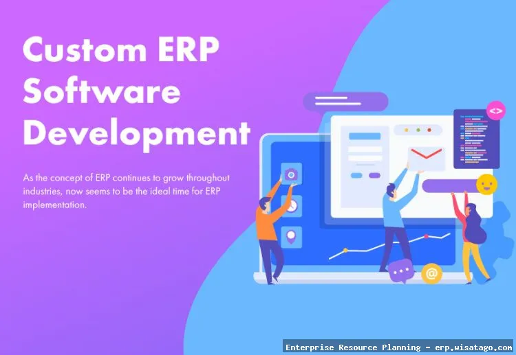 Custom ERP Development for Specialized Industries