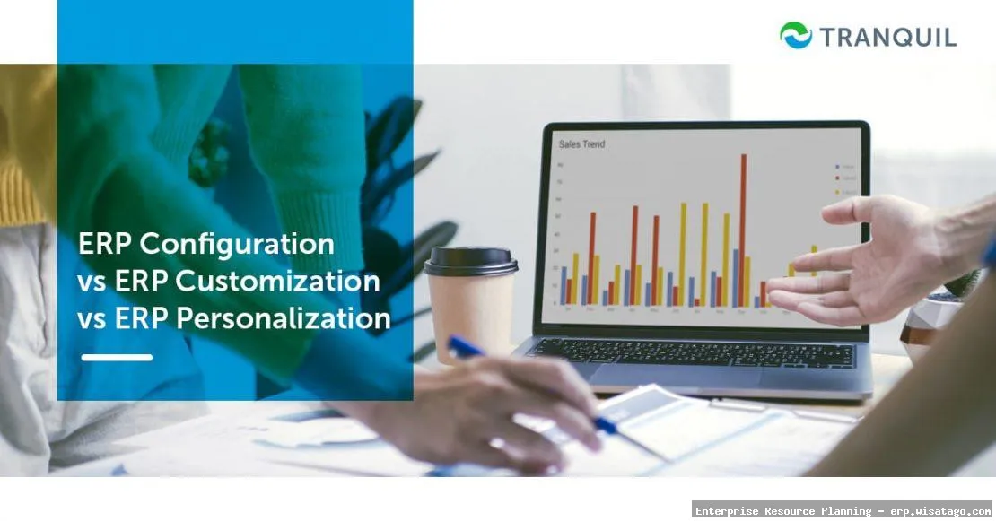 Custom Workflow Configuration in Enterprise ERP