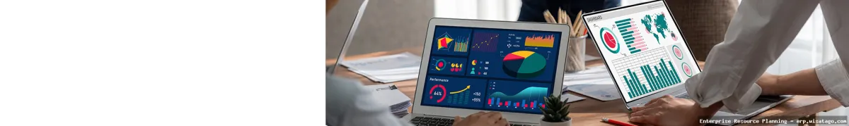 Energy Sector-Specific ERP Solutions overview