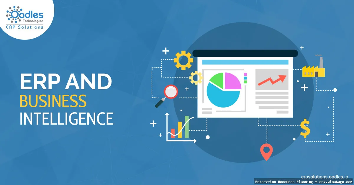 ERP Solutions with Integrated BI.
