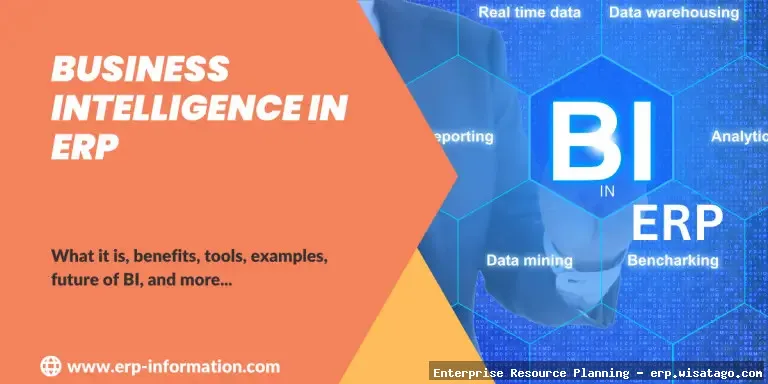 Here are a few options: ERP Solutions with Integrated BI Integrated BI for ERP solutions ERP solutions with smart insights
