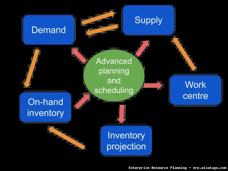 ERP Systems with advanced scheduling.