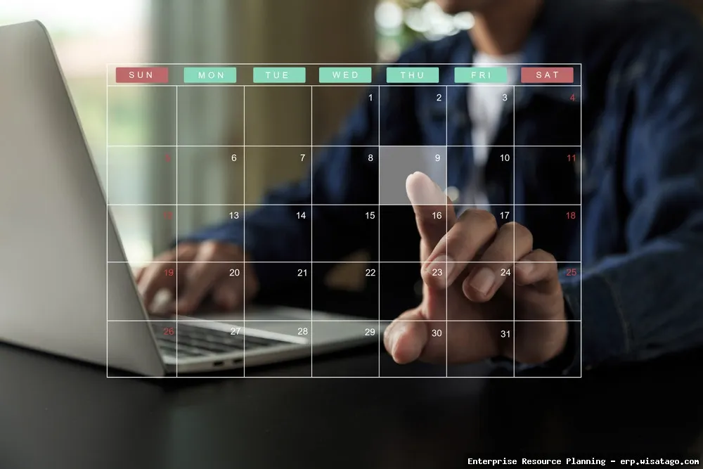ERP Systems with advanced scheduling.