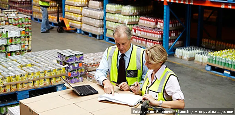 Here are a few options, keeping in mind the requirements: High-Throughput ERP Distribution Networks ERP: Streamlined Distribution Network Efficient Distribution Network ERP High-Throughput ERP Distribution Management