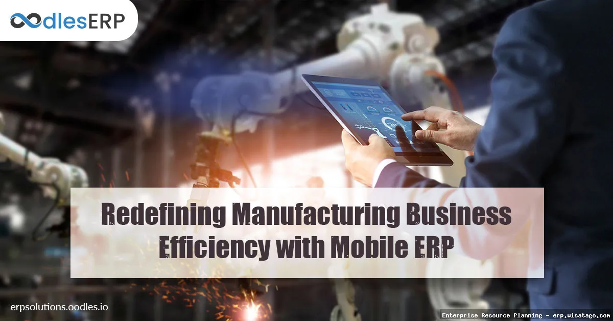 Mobile ERP: Executive data access.