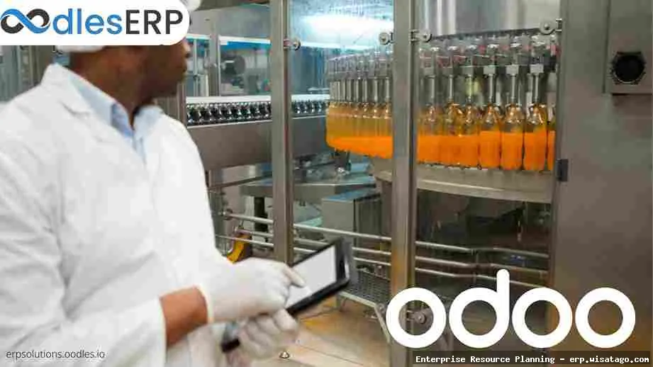 Oil and Gas Industry-Specific ERP Solutions